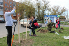 Более двух с половиной тысяч деревьев высадили Пинские пограничники в рамках республиканской акции «День леса»