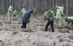 3 тысячи деревьев за минувшие выходные высадили пограничники Брестской пограничной группы
