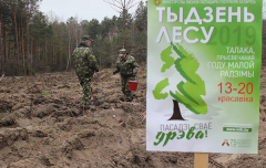 3 тысячи деревьев за минувшие выходные высадили пограничники Брестской пограничной группы
