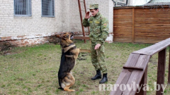 Фотофакт. Во время каникул ребята посетили погранпост «Наровля»