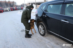 Нос по ветру: пограничный тандем Максима Моторова и Цавера