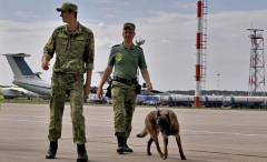 Найдут все: как работают служебные собаки в аэропорту Минска