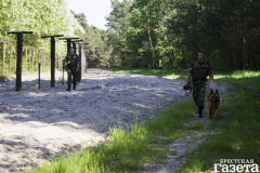 14 ПогЗ "Домачево"