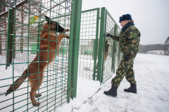 Кинологический центр в Сморгони