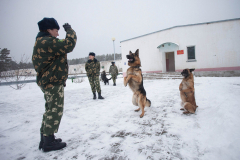 Кинологический центр в Сморгони