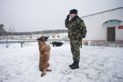 Кинологический центр в Сморгони