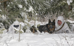 Гродненский пограничный отряд