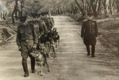 Снимок моих служивых лет. Н. Ф. Карацупа, наша легенда, с курсантами  школы сл. собак.