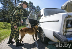 Сморгонская пограничная группа