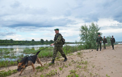 На земле, воде и в небе фоторепортаж с белорусской границы