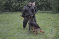 XXXVII Республиканский турнир по самбо памяти А.Н. Сивачева. Гродно. 14-15.05.2016