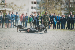 Кинологическая служба...Брестская Краснознаменная пограничная группа имени Ф.Э. Дзержинского