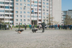 Кинологическая служба...Брестская Краснознаменная пограничная группа имени Ф.Э. Дзержинского