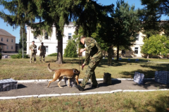 Сборная SG на соревнованиях проводников служебных собак