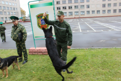 День открытых дверей Брестская пограничная группа..выступление кинологов