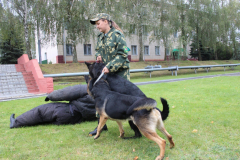 День открытых дверей Брестская пограничная группа..выступление кинологов