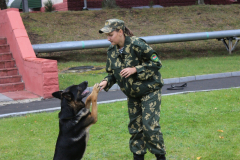 День открытых дверей Брестская пограничная группа..выступление кинологов