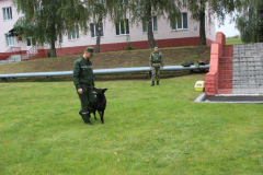 День открытых дверей Брестская пограничная группа..выступление кинологов