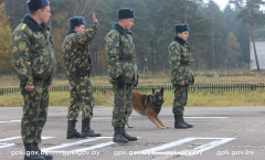 В Сморгони завершились соревнования специалистов-кинологов...