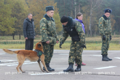 В Сморгони завершились соревнования специалистов-кинологов...