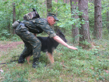 Пополнение в рядах кинологов...