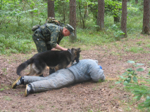 Пополнение в рядах кинологов...