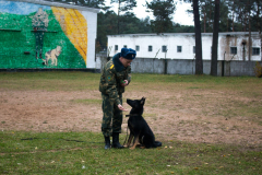 Выпуск кинологов   в Сморгонском кинологическом центре