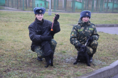 Подготовка служебных собак в кинологическом центре