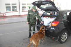 Один день в пункте пропуска «Каменный Лог»