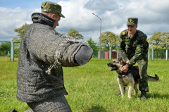 Лидский пограничный отряд