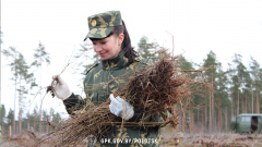 Полоцкие пограничники приняли участие в республиканском субботнике