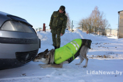 Служит в органах пограничной службы и дрессирует волчицу