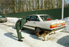 Занятие со служебными собаками по обнаружению запрещенных веществ. «Закладка» в заднем левом колесе автомашины