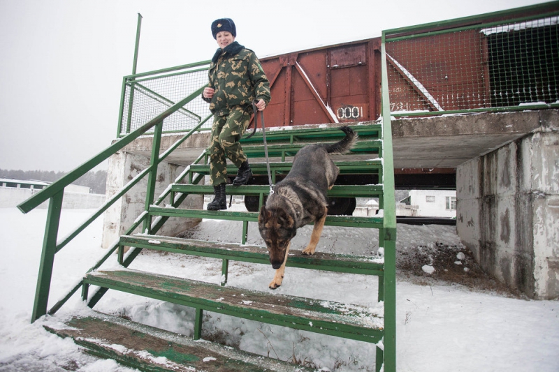Кинологический центр в Сморгони