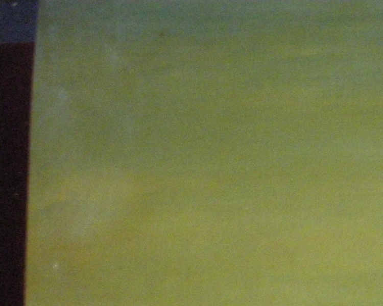 IMGP4969