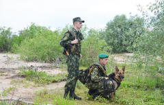 На земле, воде и в небе фоторепортаж с белорусской границы