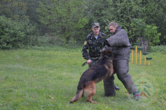 XXXVII Республиканский турнир по самбо памяти А.Н. Сивачева. Гродно. 14-15.05.2016