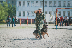 Кинологическая служба...Брестская Краснознаменная пограничная группа имени Ф.Э. Дзержинского