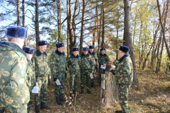 Практические занятия по ТПС