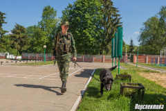 Тревожные будни заставы «Брузги»