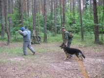 Пополнение в рядах кинологов...