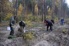 Военнослужащие Гомельской пограничной группы приняли участие в республиканской акции «Чистый лес».